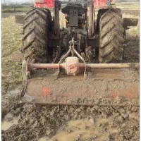 علف زنی دیکس باغ بیجار کشاورزی تراکتور|خدمات باغبانی و درختکاری|شاندرمن, |دیوار