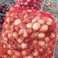 پیاز ریز (ترشی)|عمدهفروشی|عجب شیر, |دیوار