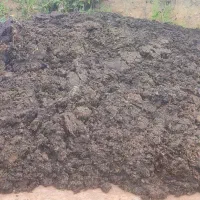 خاک کود نخودی ماسه و محصولات معدنی|خدمات باغبانی و درختکاری|بندر انزلی, چهارفریضه|دیوار