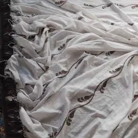 دوعددپرده نو