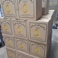 پخش و فروش عمده تخم مرغ|خوردنی و آشامیدنی|تهران, مینابی|دیوار