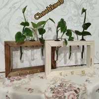 جاکلیدی|کتابخانه، شلف، قفسه‌های دیواری|قم, ولیعصر|دیوار