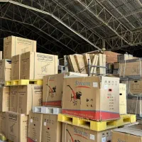 استخدام نیرو