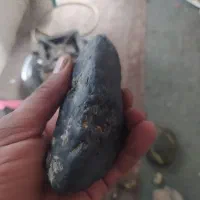 شهاب مریخی