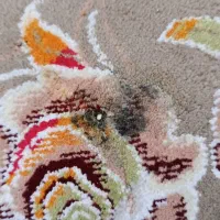 تعدادی لوازم منزل فوری فروشی|حراج|هشتگرد, شهرک گلخانه|دیوار