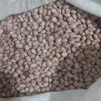 لوبیا چیتی|خوردنی و آشامیدنی|گتوند, |دیوار