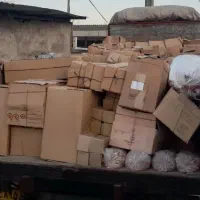 ماهی قرمز|ماهی|گرگان, |دیوار