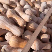 کدو درجه 1و2 همه روزه ارسال به تمام نقاط کشور|خوردنی و آشامیدنی|تربت جام, امام|دیوار