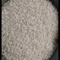 برنج هاشمی فقط محلی نیم دانه ۱۶۰