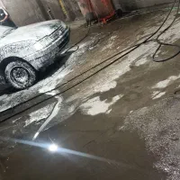 پژو 405 دلفینی