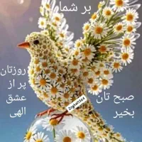 زمینهای پلاک 95فرعی از245اصلی آموزش وپرورش بیرجنی