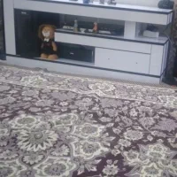 اسپیکر سالم مارشال|سیستم صوتی خانگی|قم, زاویه|دیوار