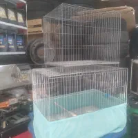 قفس قناری