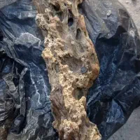 استفراغ نهنگ عنبر ونهنگ شهب|آرایشی، بهداشتی، درمانی|هندیجان, |دیوار