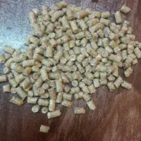 فروش دان مرغ بازارگاهی دولتی یارانه ای