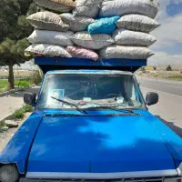 خرید پوست گردو