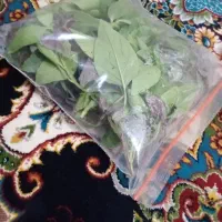 سبزی خوردنی