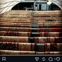 قالیشویی وروفوگری دلیر