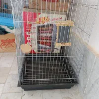 قفس بزرگ