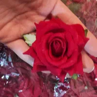 گل های عمده