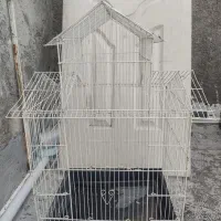 قفس پرنده|لوازم جانبی حیوانات|رباط‌کریم, رباط‌کریم|دیوار