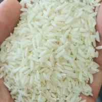 برنج هاشمی سورتینگ شده