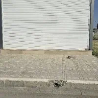 مغازه|فروش مغازه و غرفه|ازنا, |دیوار