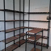 رگال و قفسه