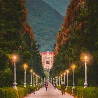 فروش کیف با سا کارت وجاباما