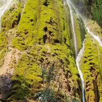 باغبلنی سم پاشی هرس ساخت استخر ساختمان شخم تیلر