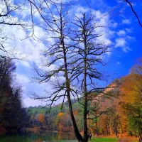 خانه سنتی طرح چوب