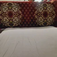 پشتی یک جفت سالم