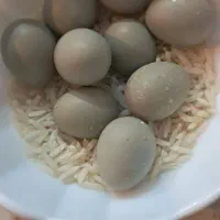 جوجه ایام سمانی بلدرچین مینیاتوری تخم نطفه دار|حیوانات مزرعه|یزد, |دیوار