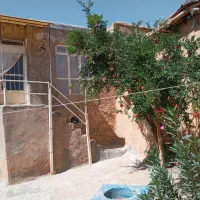 خانه فروشی روستای مارنج|فروش خانه و ویلا|موچش, |دیوار