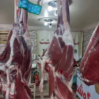 استخدام خانم ادمین و بلاگر حضوری|استخدام بازاریابی و فروش|تهران, جیحون|دیوار