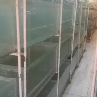 اکواریوم یک متری