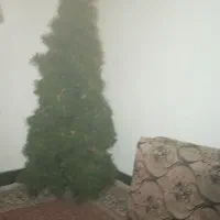 درخت کریسمس مناسب آتلیه خونه و شب یلدا|گل مصنوعی|مسجد سلیمان, |دیوار