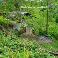 اجاره کلبه جنگلی|اجارهٔ کوتاه‌مدت ویلا و باغ|گلوگاه بابل (گلیا), |دیوار