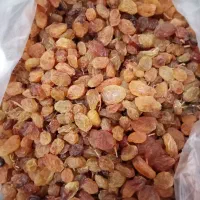 کشمش قوچان|خوردنی و آشامیدنی|چناران, |دیوار