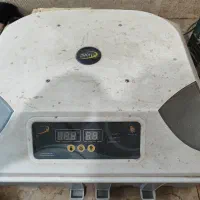 دستگاه جوجه کشی