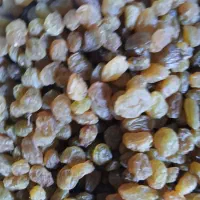 کشمش افتابی|خوردنی و آشامیدنی|پردیس, فاز ۲|دیوار