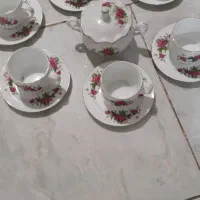 ظروف گل سرخی زیرقیمت