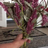 ۵ شاخه گل گلبه ای