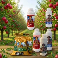 پک سیب زیر ۱۰ سال ۳۰ درصد باردهی بیشتر