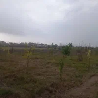 ۲۱۴مترزمین بگیر با کلبه اونم قسطی با سندتکبرگ