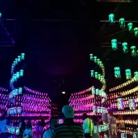 از تهران تا دبی، سفر رویایی همینجا|تور و چارتر|گرگان, |دیوار