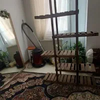 پایه گل|گل و گیاه طبیعی|محمدیه-قزوین, |دیوار