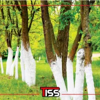 فروش ویژه چسب ممتاز سه کاره باغبانی خاصیت چند وجهی