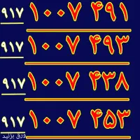 ۹۱۷.۱۰۰.۳۰۰.۷۰۰|سیم‌کارت|شیراز, معالی‌آباد|دیوار