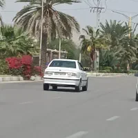 متقاضی سرویس همه روزه